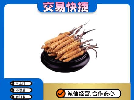 历下区回收冬虫夏草多少钱每克